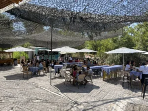 החצר של נוני בכפריה בית נחמיה