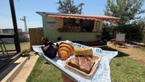 איפה פתוח בשבת