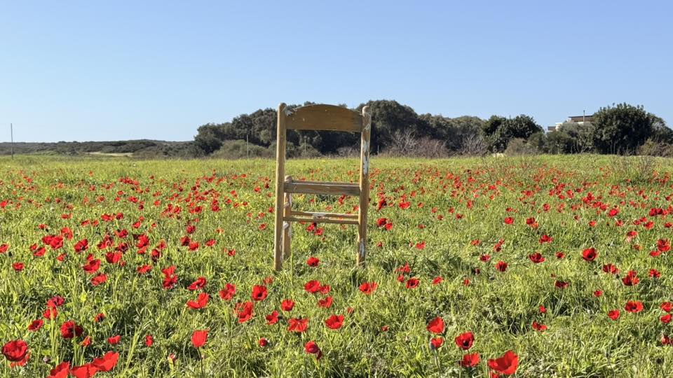 פריחת כלניות בחדרה עם הכיסא הבודד