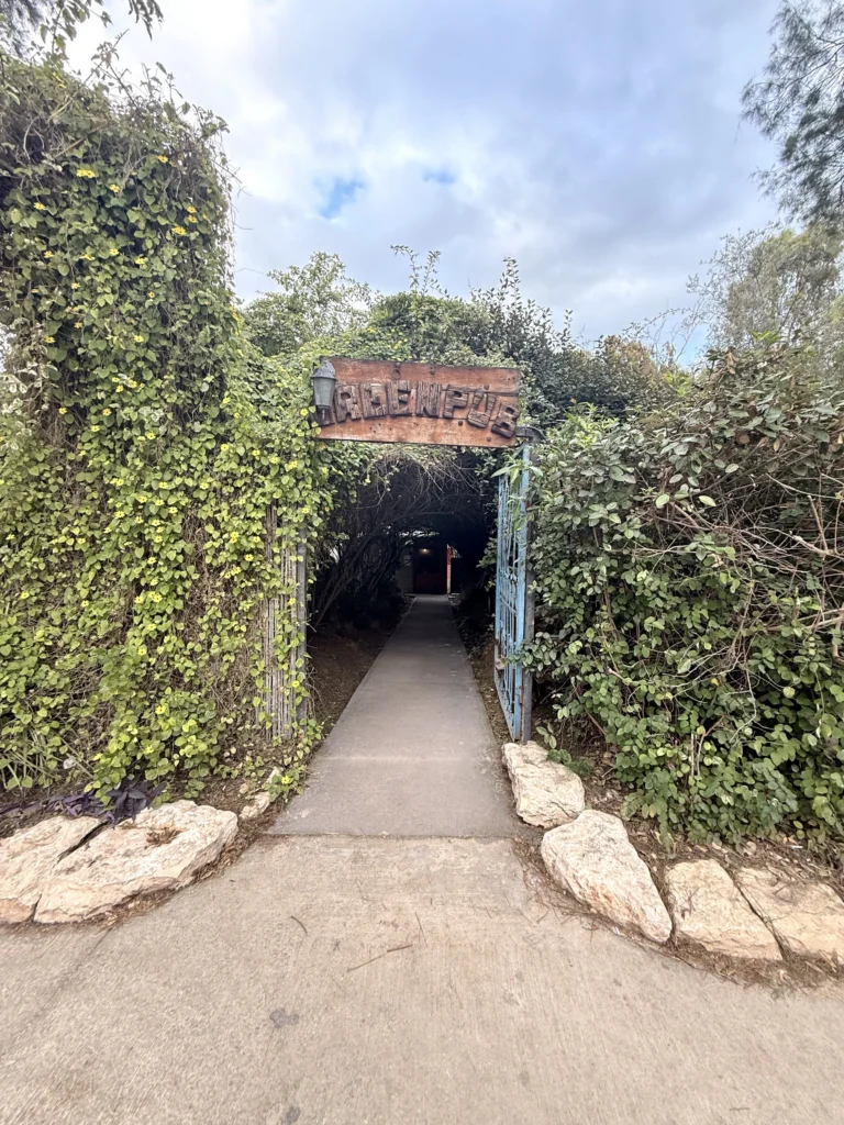 דרום בלב ארוחה בגרין פאב