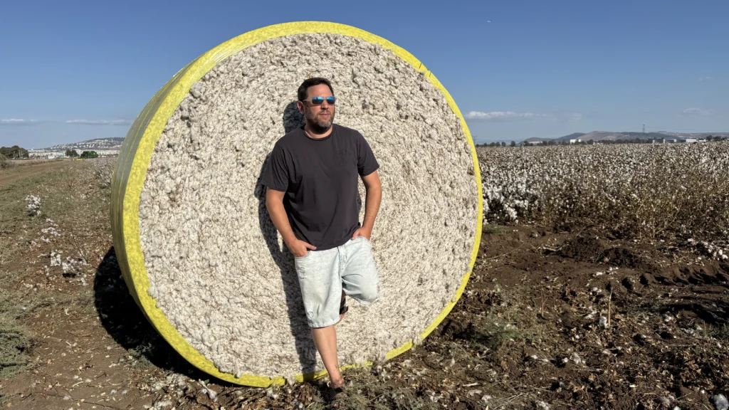 שדות הכותנה בעמק יזרעאל באלות כותנה