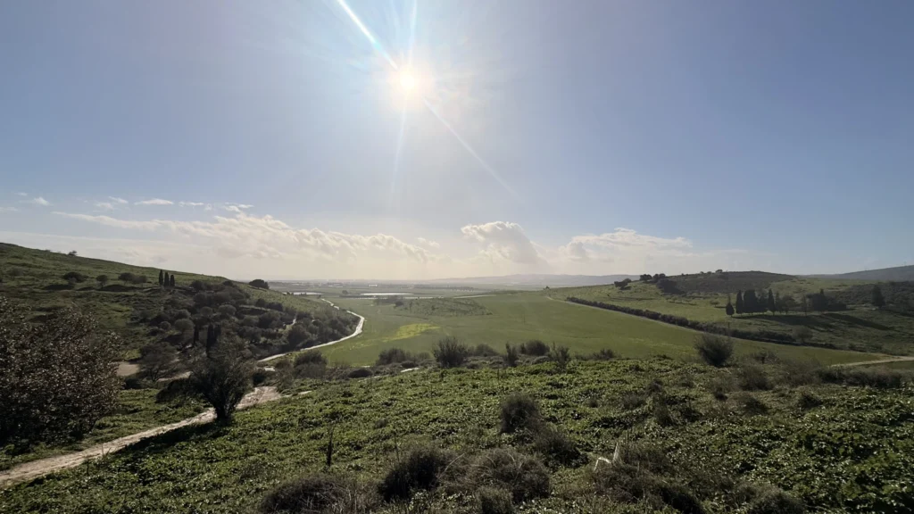 תצפית נוף טבעון – פינה שקטה מול הנוף הירוק
