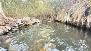 עין הדייג מעיין קטן שנמצא ליד שמורת החולה