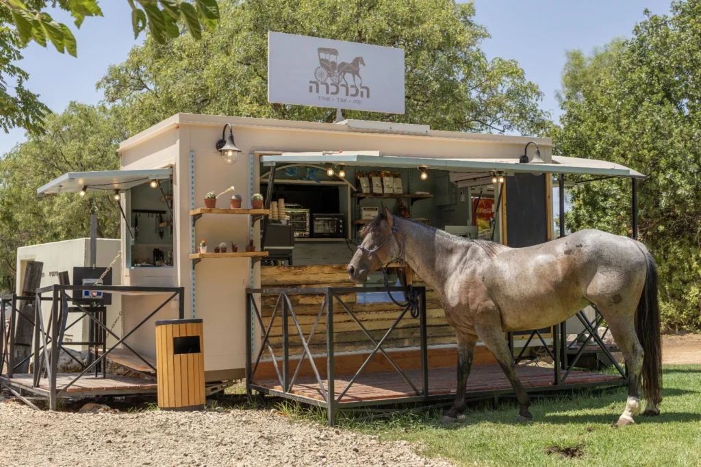 WhatsApp Image 2025-11-10 at 11.42.33 (1)