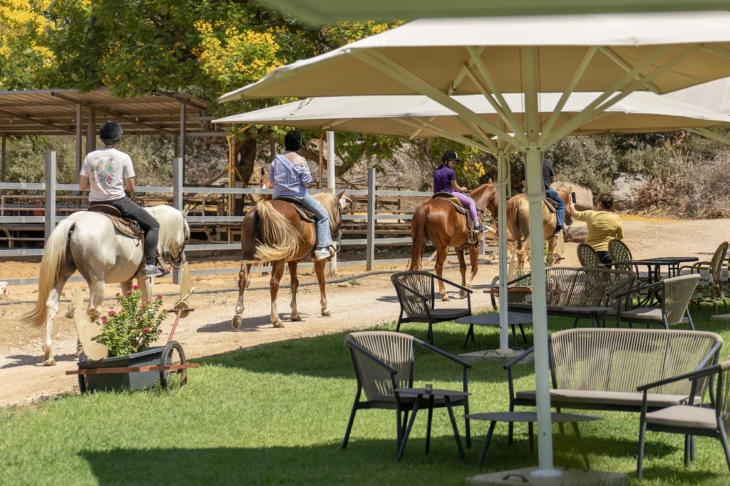 WhatsApp Image 2025-11-10 at 11.42.33