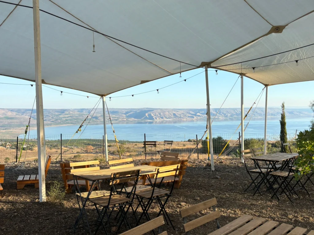 WhatsApp Image 2025-11-30 at 13.48.24 (1)