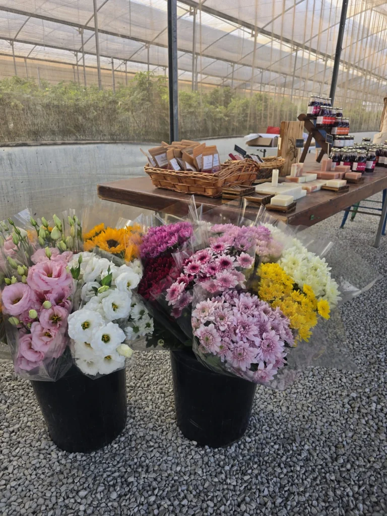 WhatsApp Image 2025-12-04 at 18.56.28 (1)