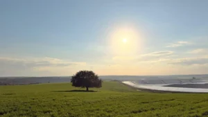 תצפית ברמות מנשה - 3 תצפיות מהממות