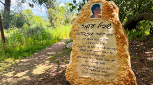 שביל עומר קריית טבעון - המסלול